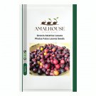 Grewia Asiatica Leaves Phalsa Falsa Leaves - 50 PCS Seeds