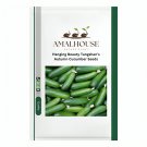 Hanging Beauty Tangshan's Autumn Cucumber - 60 PCS Seeds