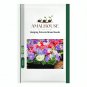 Hanging Petunia Mixed - 200 PCS Seeds