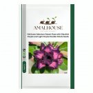 Heirloom Adenium Desert Rose with Blackish Purple and Light Purple Double Petals - 5 PCS Seeds