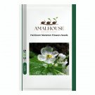 Heirloom Skeleton Flowers - 200 PCS Seeds