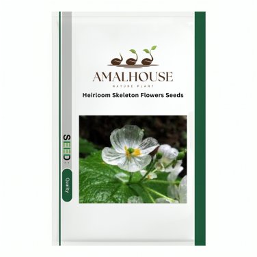Heirloom Skeleton Flowers - 200 PCS Seeds