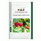 Heritage Raspberry Garden - 100 PCS Seeds