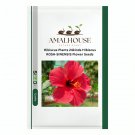 Hibiscus Plants 24kinds Hibiscus ROSA-SINENSIS Flower - 200 PCS Seeds