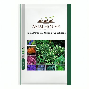 Hosta Perennial Mixed 8 Types - 200 PCS Seeds