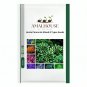 Hosta Perennial Mixed 8 Types - 200 PCS Seeds