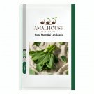 Huge Stem Gai Lan - 5 PCS Seeds