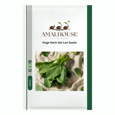 Huge Stem Gai Lan - 5 PCS Seeds