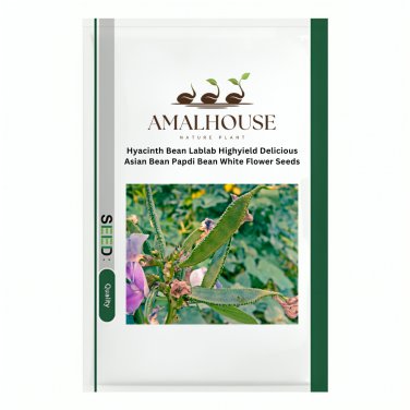 Hyacinth Bean Lablab Highyield Delicious Asian Bean Papdi Bean White Flower - 50 PCS Seeds