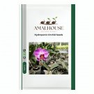 Hydroponic Orchid - 100 PCS Seeds