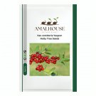 Ilex vomitoria Yaupon Holly Tree - 120 PCS Seeds
