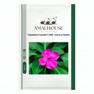 Impatiens hawkeri VAR. ramosa - 3000 PCS Seeds