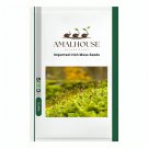 Imported Irish Moss - 500 PCS Seeds