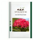 Ixora Red Flower - 10 PCS Seeds