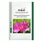 Japanese Azalea Rhododendron Azalea Flower - 100 PCS Seeds