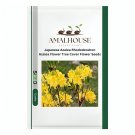 Japanese Azalea Rhododendron Azalea Flower Tree Cover Flower - 50 PCS Seeds