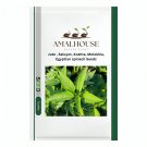 Jute , Saluyot, Koshta, Molokhia, Egyptian spinach - 100 PCS Seeds