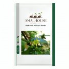 Kedrostis africana - 5 PCS Seeds