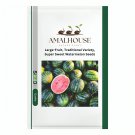Large-Fruit, Traditional Variety, Super Sweet Watermelon - 25 PCS Seeds