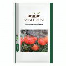 Leucospermum - 6 PCS Seeds