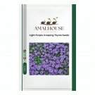 Light Purple Creeping Thyme - 100 PCS Seeds