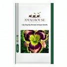 Lily Daylily Bonsai Unique - 50 PCS Seeds