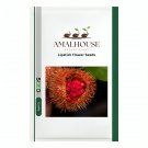Lipstick Flower - 15 PCS Seeds