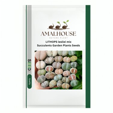 LITHOPS lesliei mix Succulents Garden Plants - 100 PCS Seeds