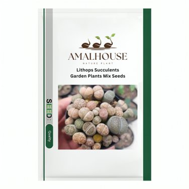 Lithops Succulents Garden Plants Mix - 100 PCS Seeds