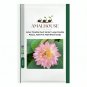Lotus 'Double Duet Series' Large Double Petals, Half Pink Half White - 20 PCS Seeds