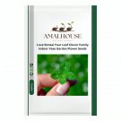 Love Bonsai Four Leaf Clover Family Indoor Vase Garden Flower - 100 PCS Seeds