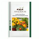 Lovely Funny Flower Calceolaria Herbeohybrida - 100 PCS Seeds