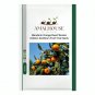 Mandarin Orange Dwarf Bonsai Indoors Outdoors Fruit Tree - 10 PCS Seeds