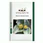 Massonia depressa - 10 PCS Seeds