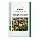 Mexican Pansy Flores Wavy Viola Tricolor Flower plantas - 100 PCS Seeds