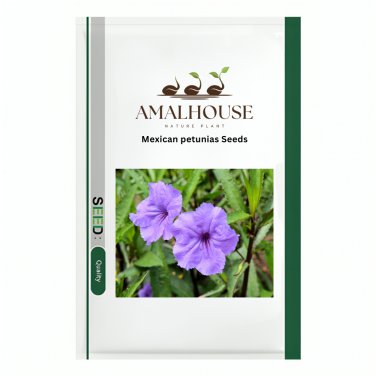 Mexican petunias - 150 PCS Seeds