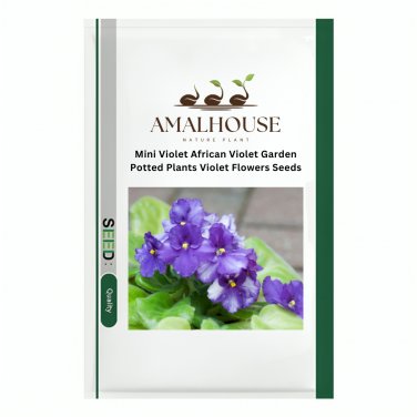 Mini Violet African Violet Garden Potted Plants Violet Flowers - 50 PCS Seeds