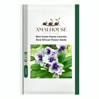 Mini Violet Plants Colorful Rare African Flower - 50 PCS Seeds