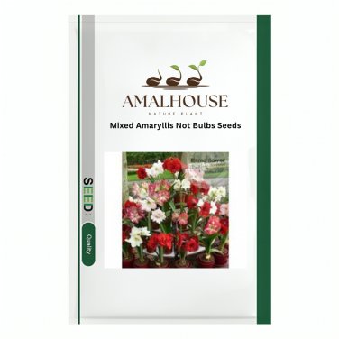 Mixed Amaryllis Not Bulbs - 100 PCS Seeds