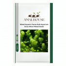 Mixed Aquatic Plants Bulk Aquarium Grass Water Mixed - 1000 PCS Seeds