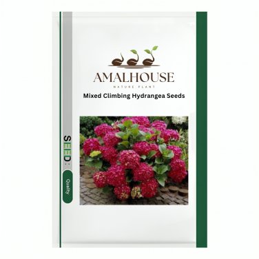 Mixed Climbing Hydrangea - 50 PCS Seeds