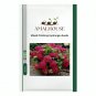 Mixed Climbing Hydrangea - 50 PCS Seeds