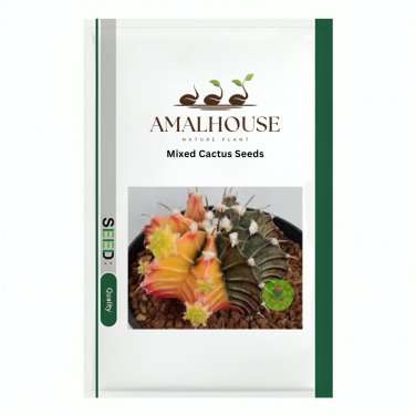 Mixed Cactus - 200 PCS Seeds