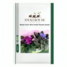 Mixed Color Mini Violet Plantas - 200 PCS Seeds