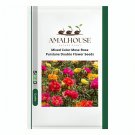 Mixed Color Moss-Rose Purslane Double Flower - 500 PCS Seeds