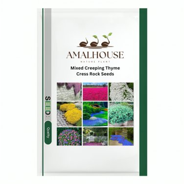 Mixed Creeping Thyme Cress Rock - 200 PCS Seeds