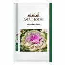 Mixed Kale - 100 PCS Seeds