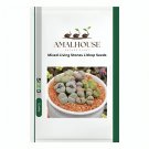Mixed Living Stones Lithop - 200 PCS Seeds