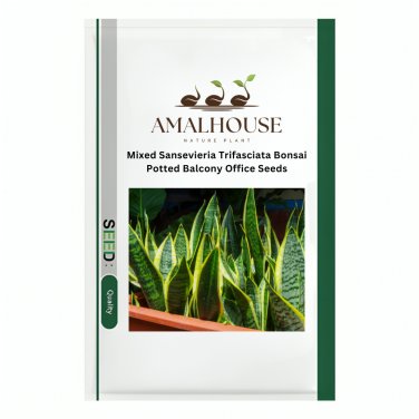 Mixed Sansevieria Trifasciata Bonsai Potted Balcony Office - 200 PCS Seeds