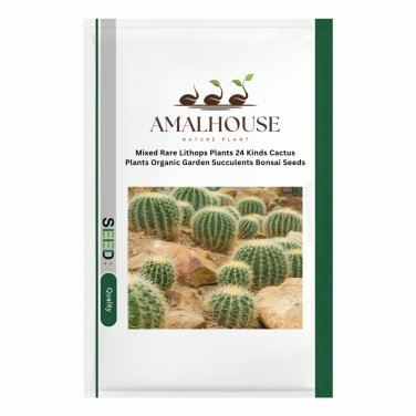 Mixed Rare Lithops Plants 24 Kinds Cactus Plants Organic Garden Succulents Bonsai - 100 PCS Seeds